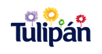 Tulipan